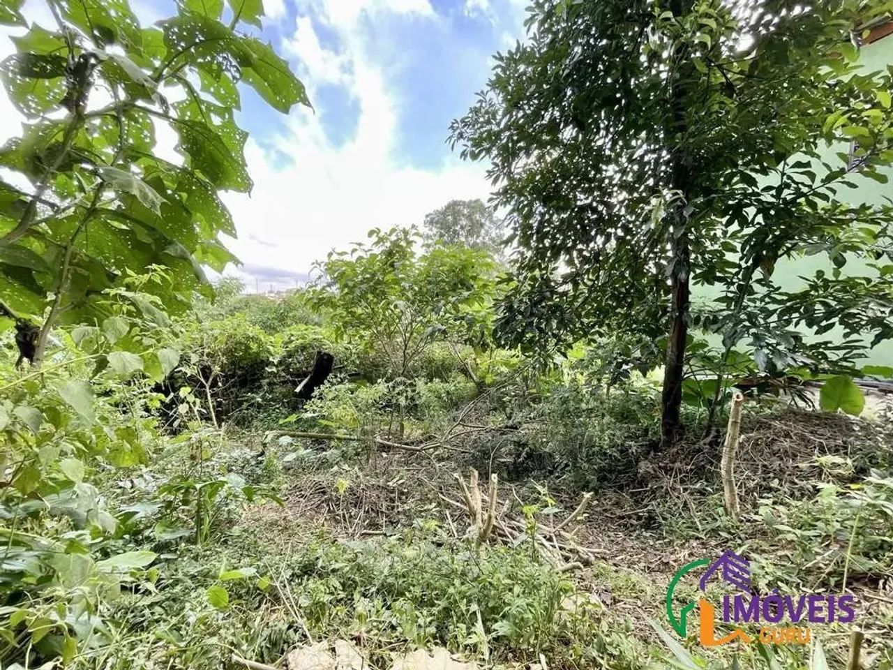 TERRENO EM CONDOMÍNIO - VILA SANTO ANTÔNIO - SP - Foto 7