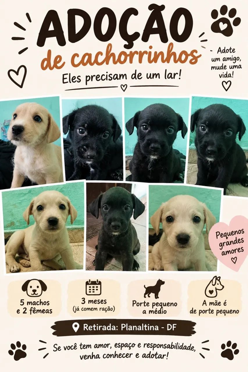 Adoção 