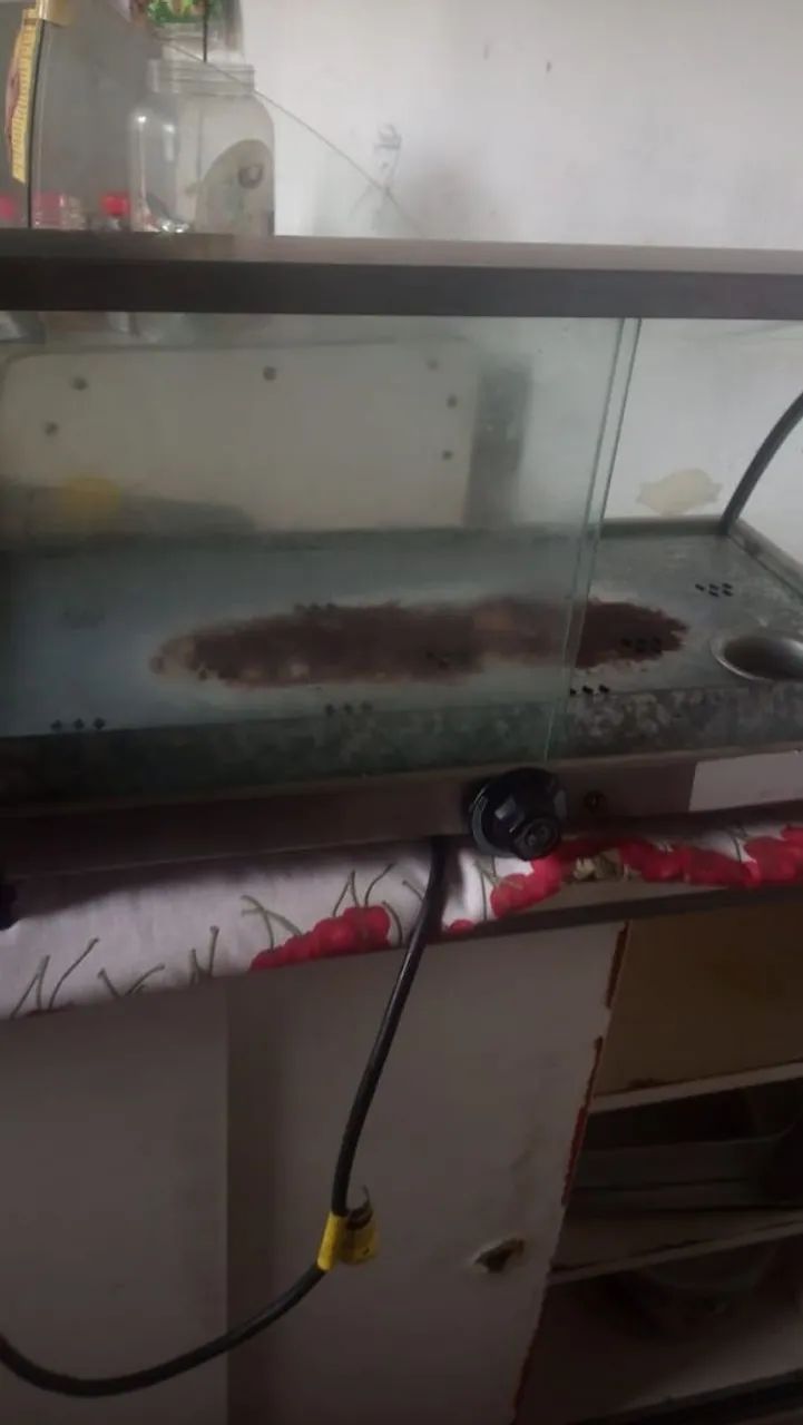 ESTUFA PARA SALGADOS - Foto 3