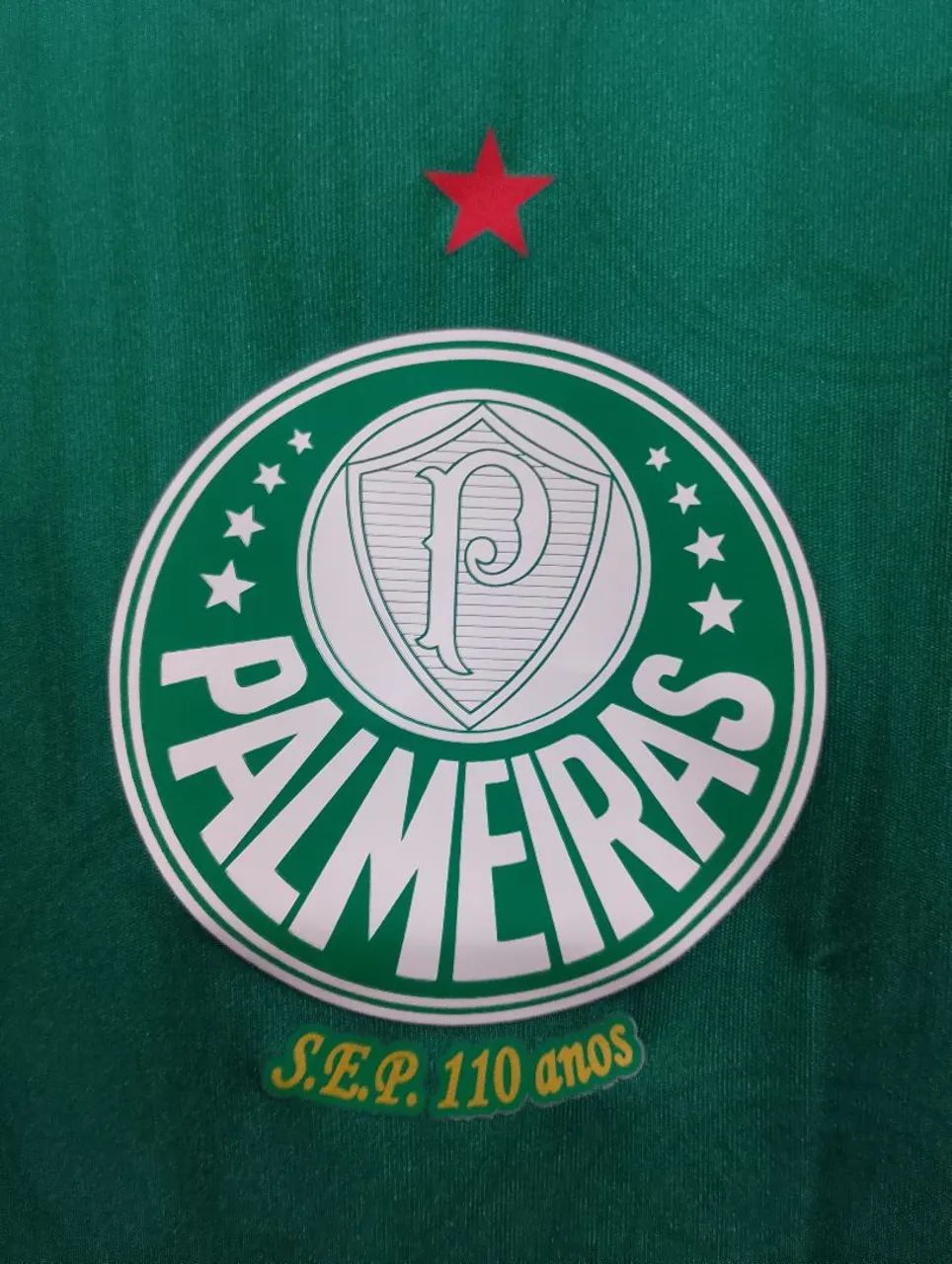 Camisa G Palmeiras I 2024 - Foto 2
