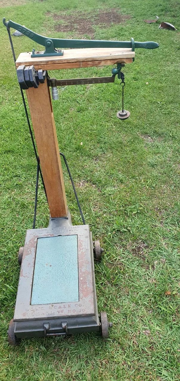 Balança plataforma analógica 300kg - Foto 2