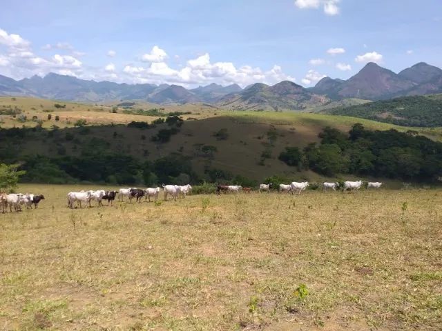 Foto - Campos dos Goytacazes - Parque Corrientes