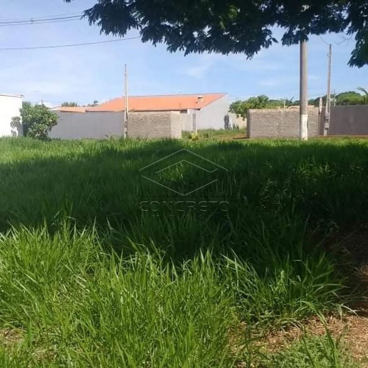 Terreno Padrão em Arealva - Foto 4