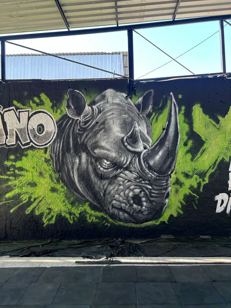 Graffiti 
