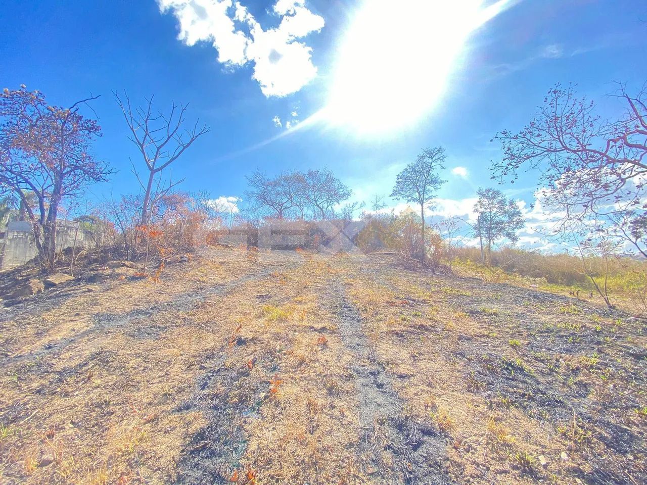 Lote à venda no bairro Belvedere com 408 m². - Foto 5