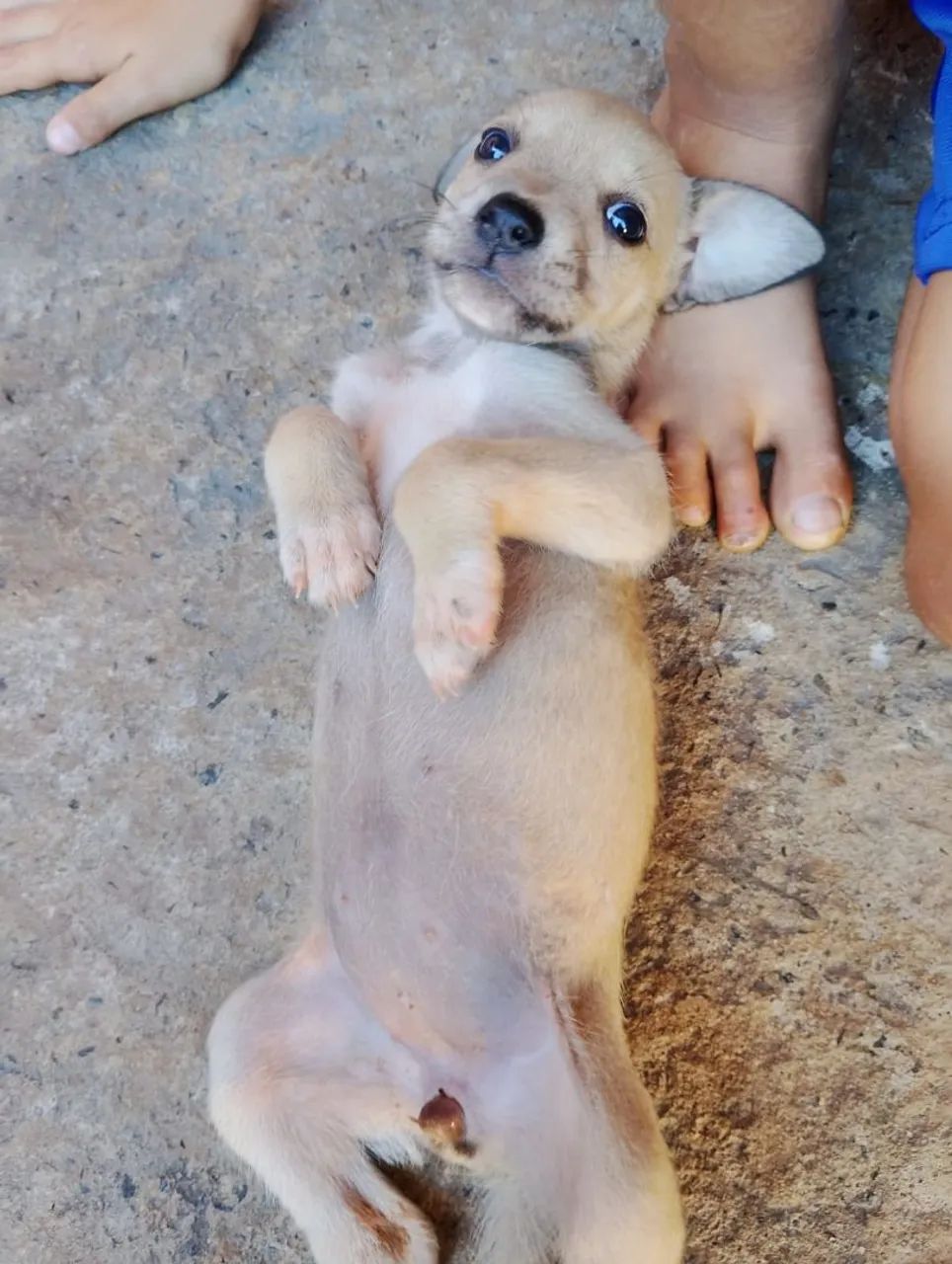 Doação  - Foto 5