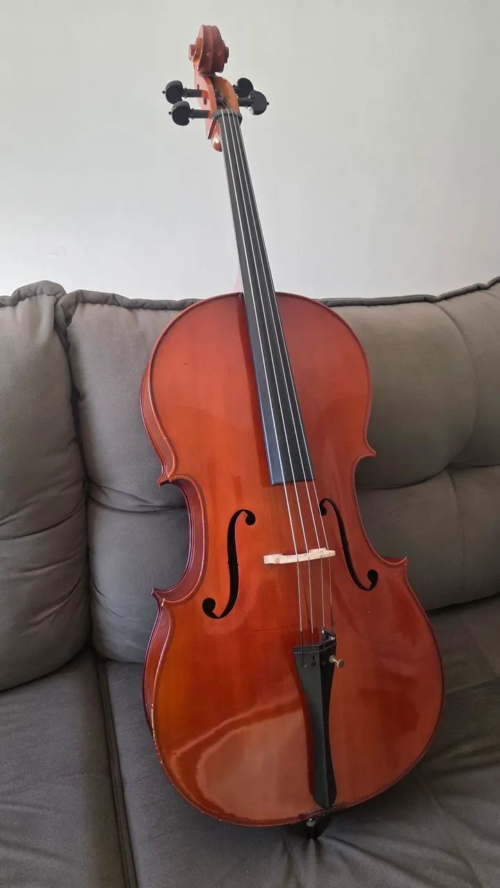 Violoncelo Parrot