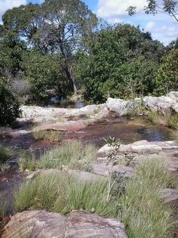Fazenda - Teresina de Goiás - Foto 3