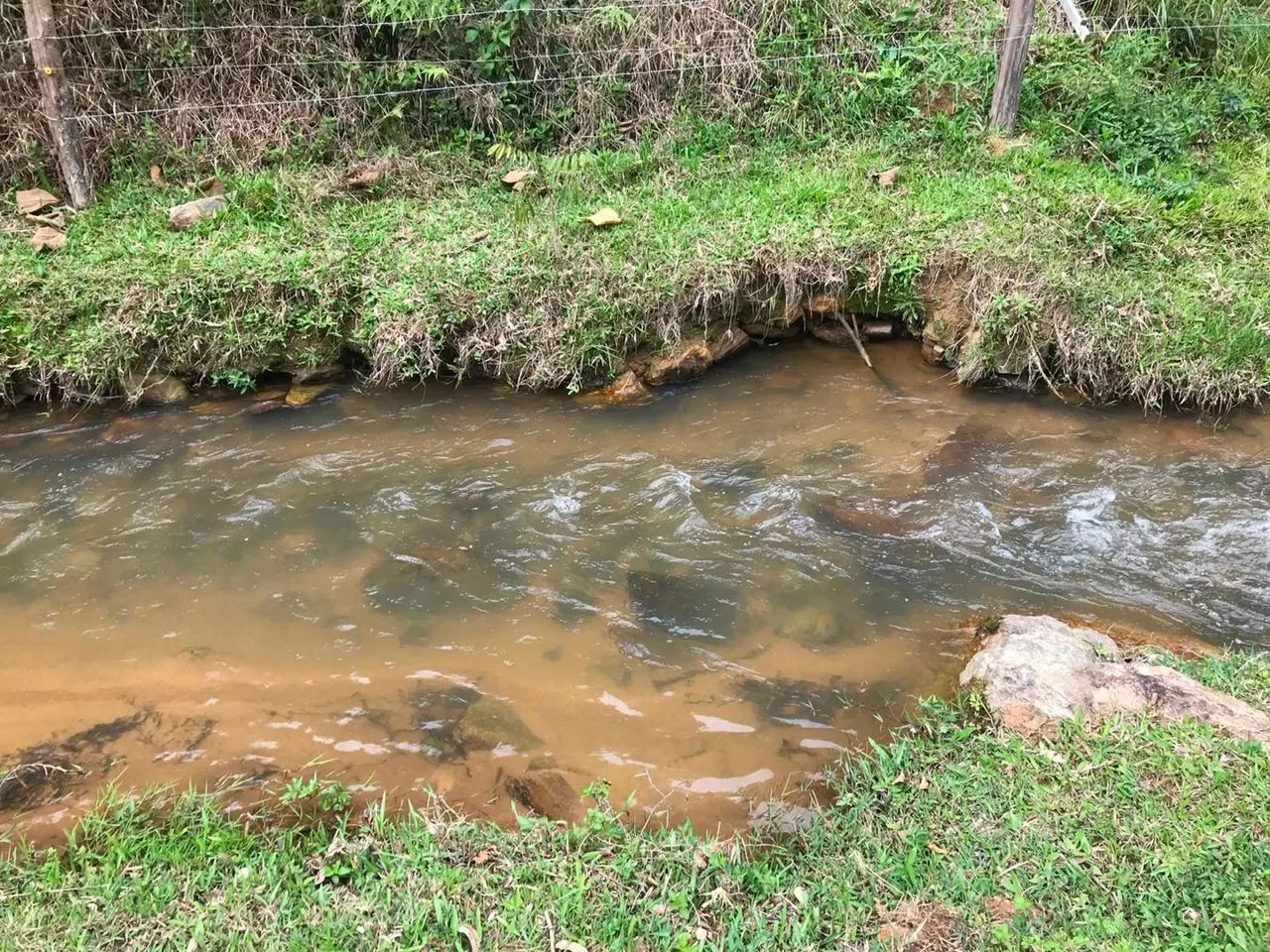 Terreno em Angelina - Foto 4
