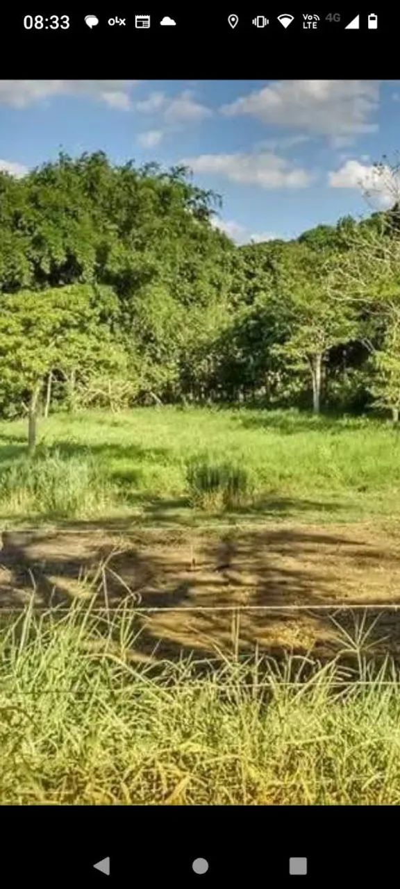 Foto - Goianá - 