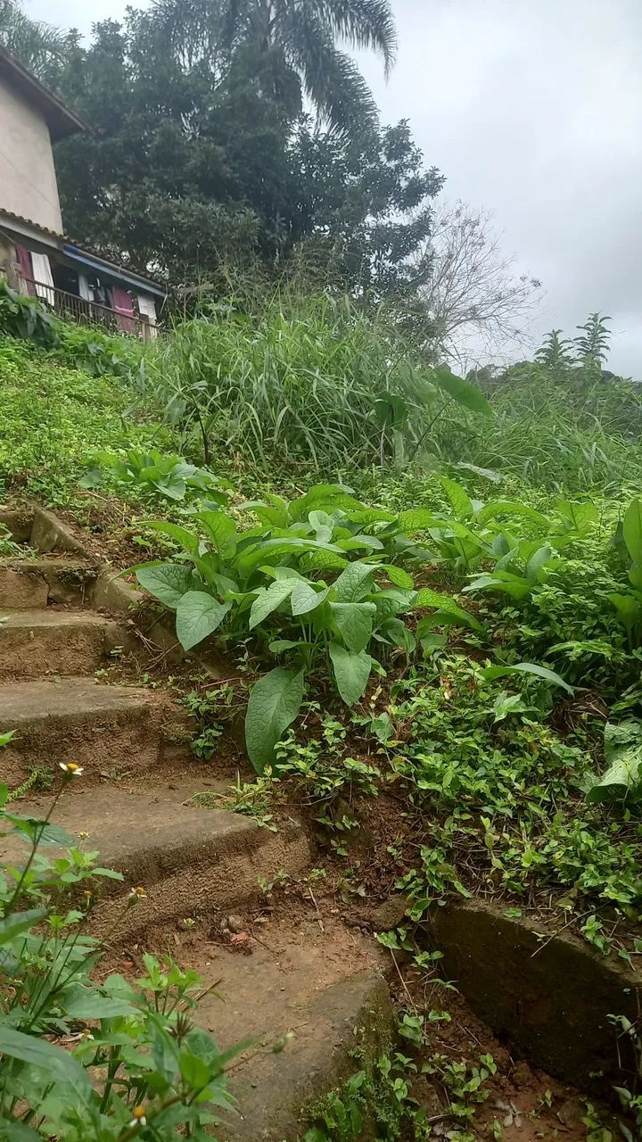 Vendo esse terreno no centro