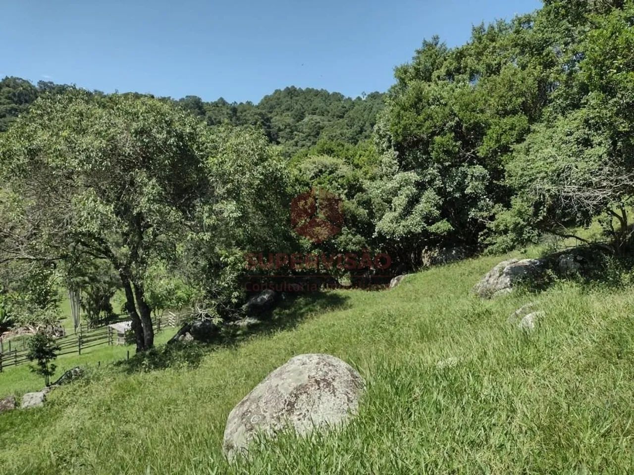Terreno à venda, 49.872 m² - Jurerê - Florianópolis/SC - Foto 2