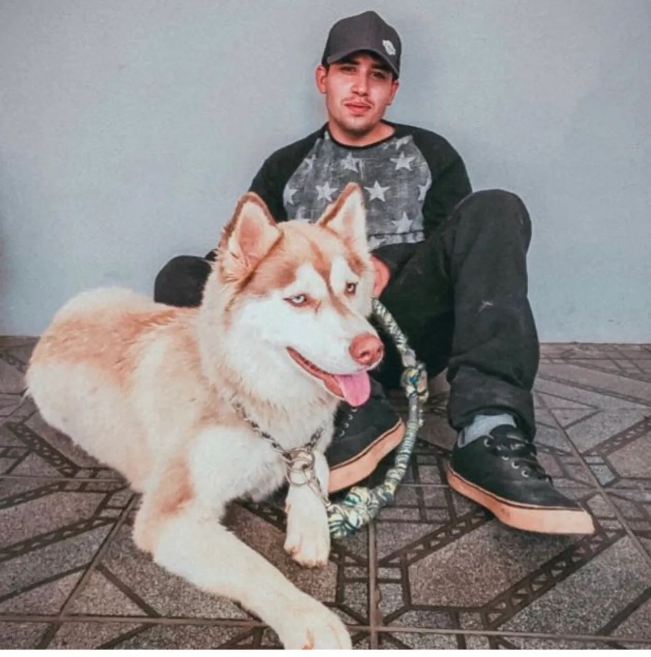 LINDOS FILHOTES DE HUSKY WOOLY - Foto 2