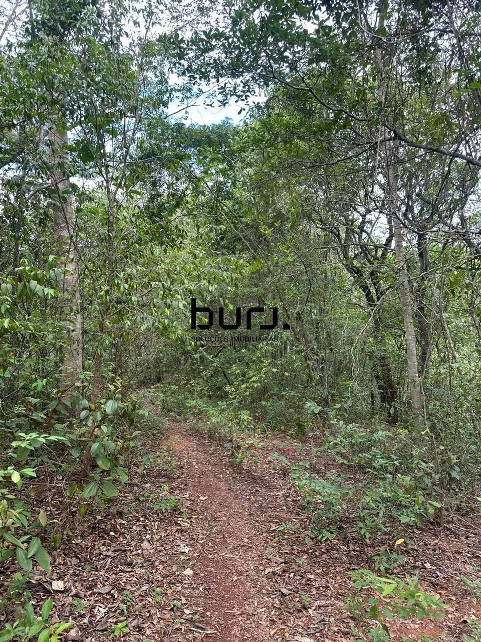 Terreno à venda em Caldazinha, Setor Central, com 2000 m² - Foto 3