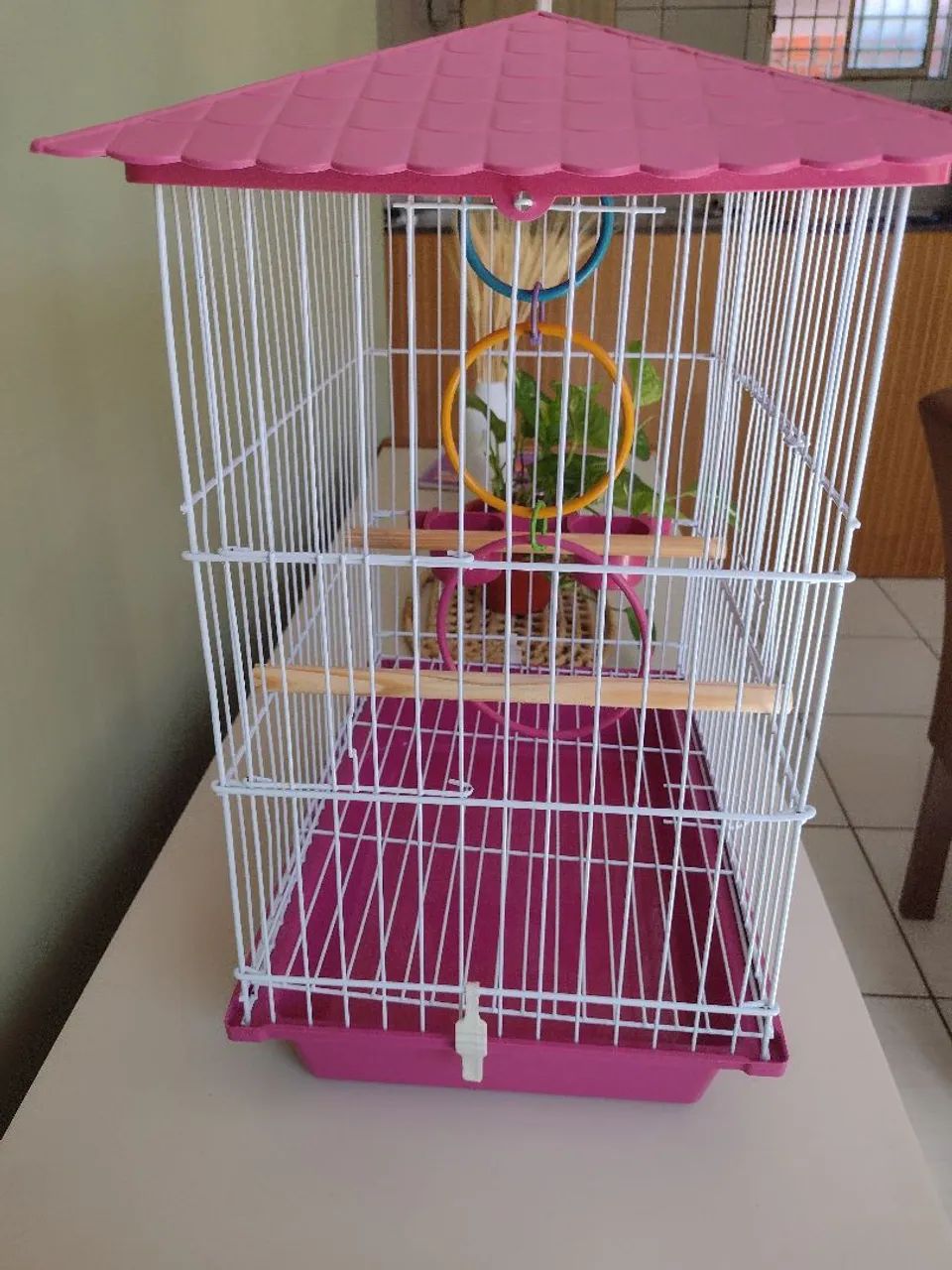 Gaiola  - Foto 2