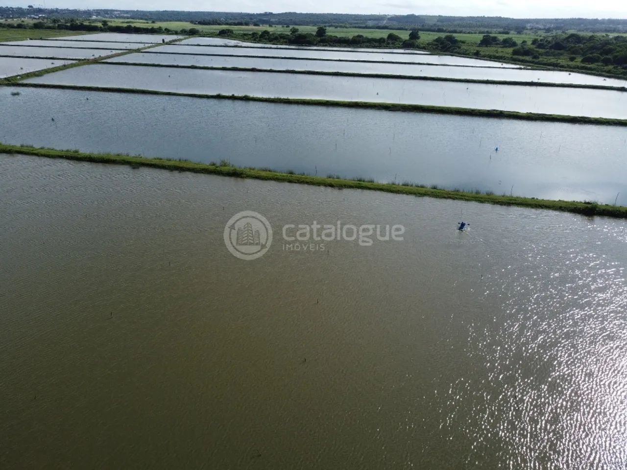 Fazenda de Camarão à Venda