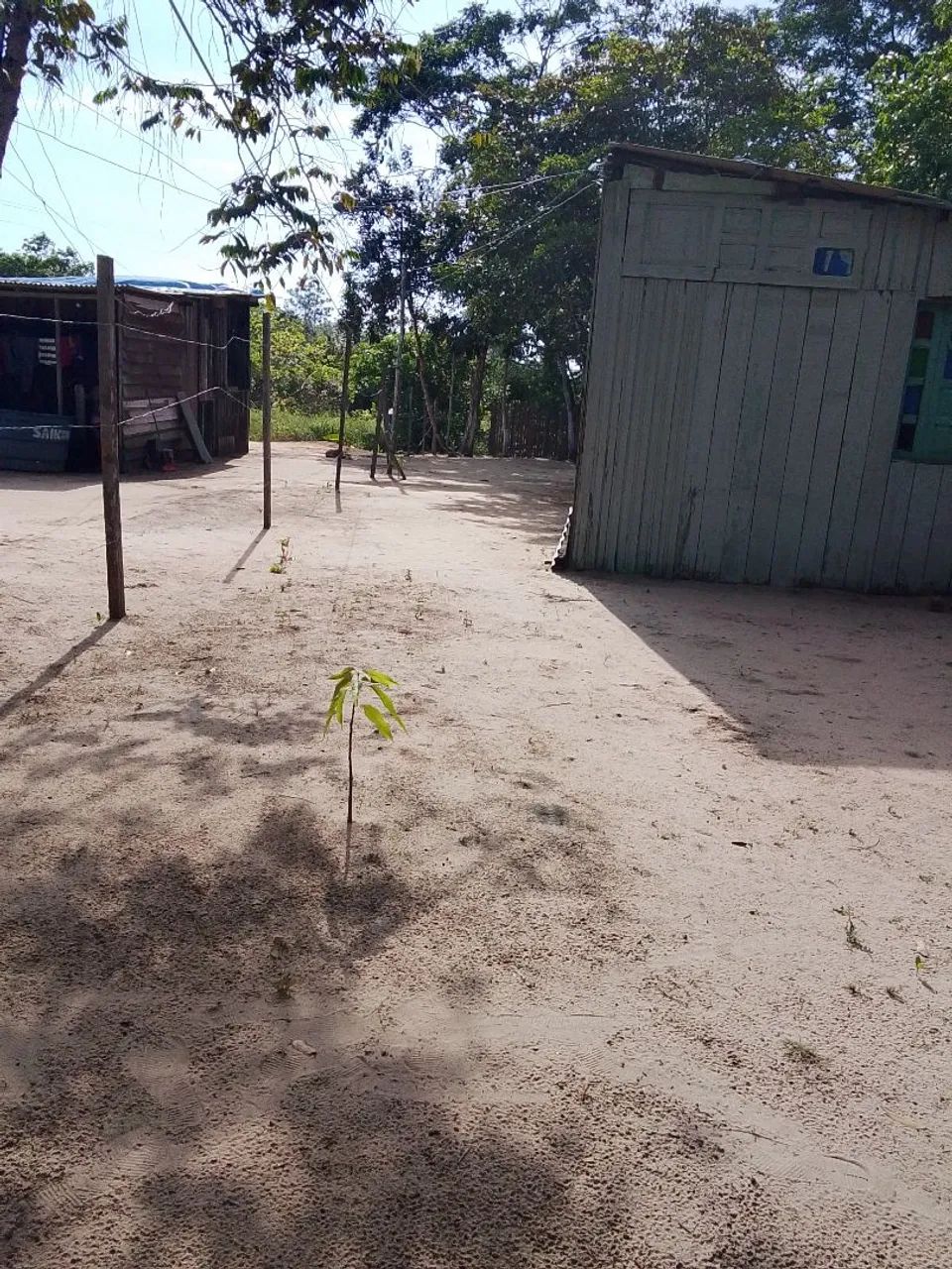 Rodrigo  - Foto 3