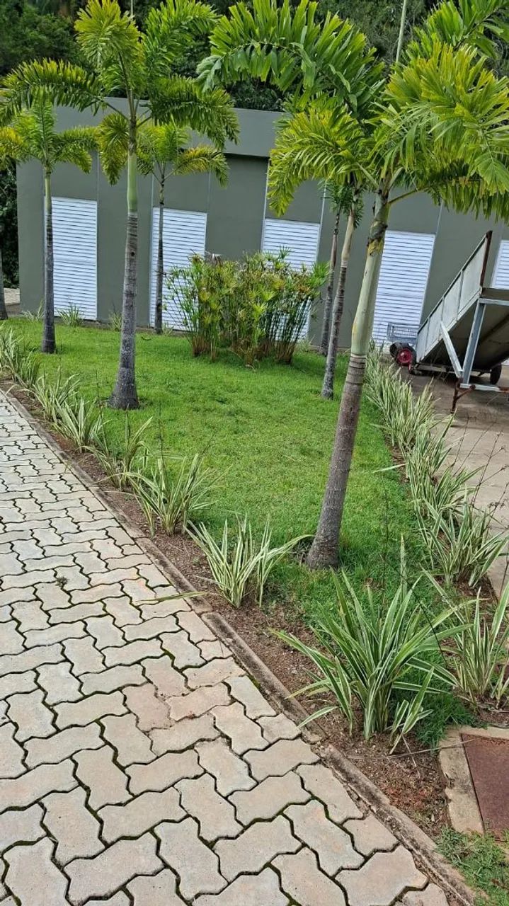 Serviços de jardinagem 