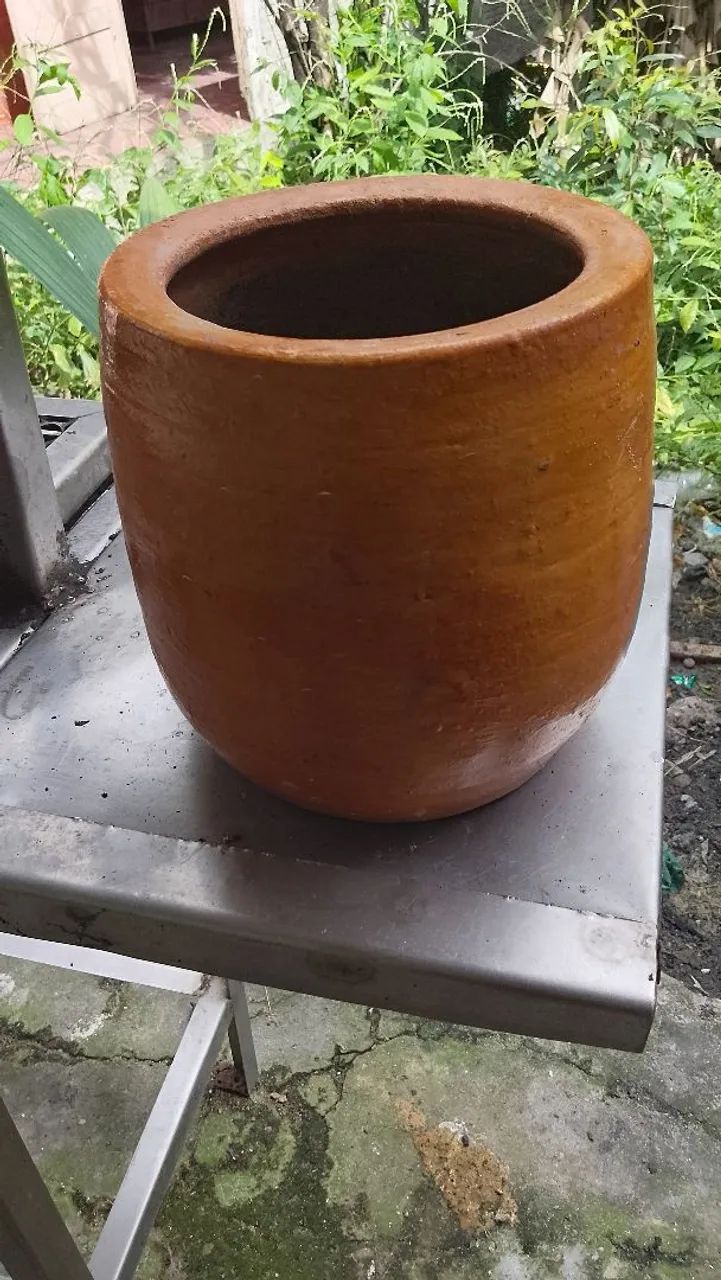 Vaso de planta