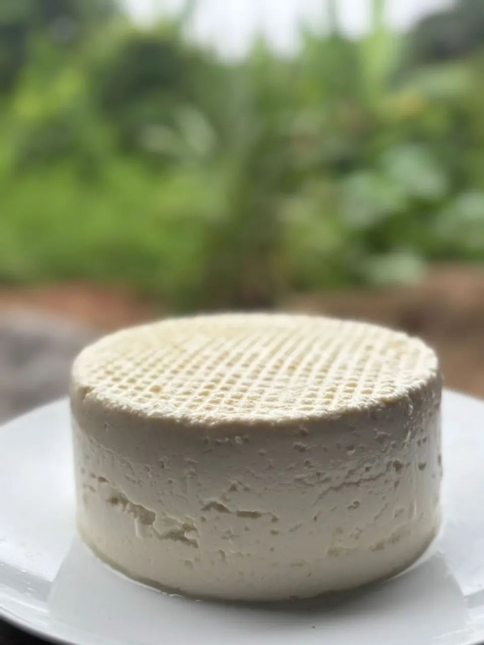 Queijo, leite da roça,  doce de leite e mais