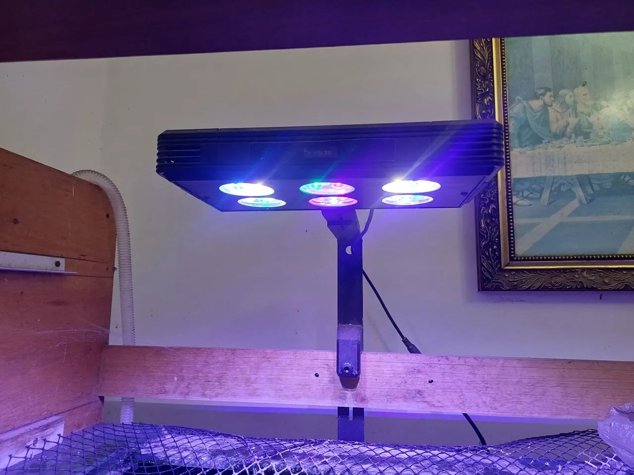 Aquário completo 450l!  - Foto 6
