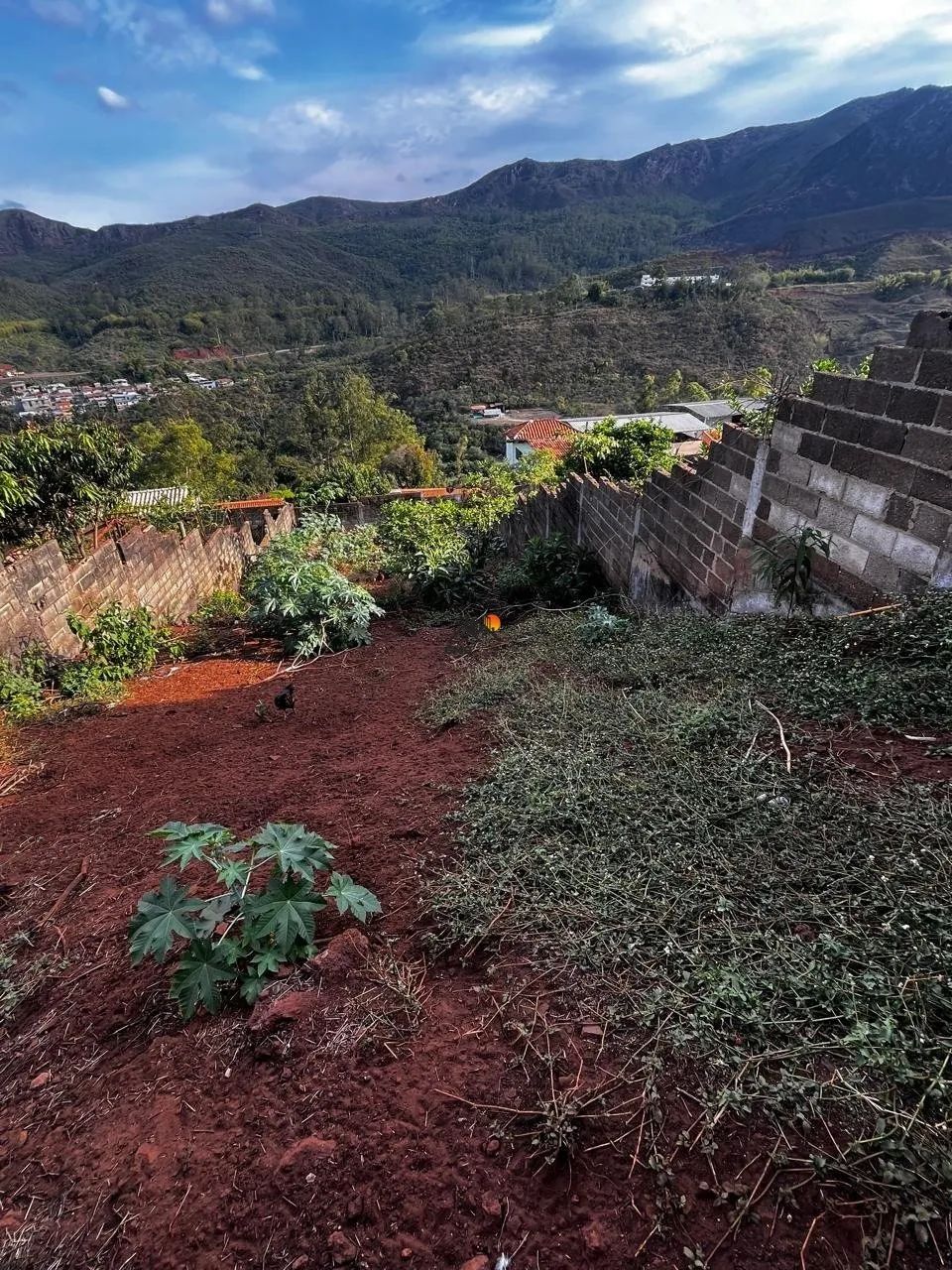 Lote 500 m - Passagem de Mariana - Foto 4