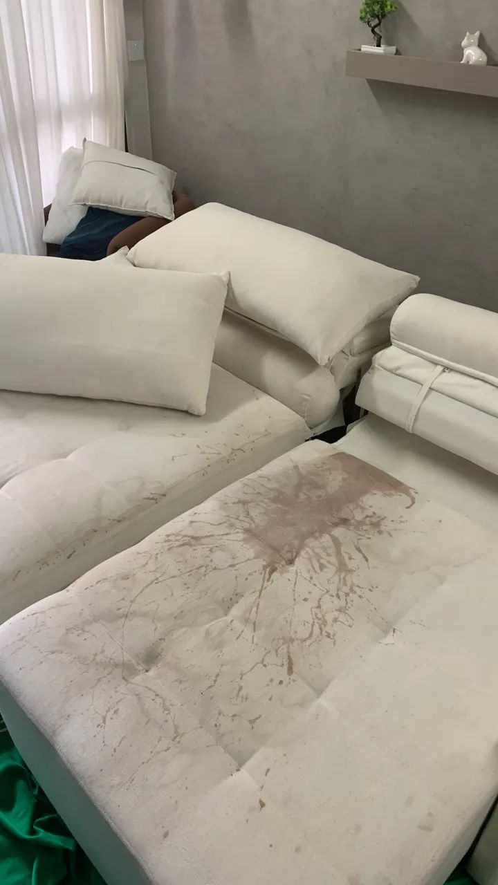HIGIENIZA ÇÃO DE ESTOFADOS - Foto 2