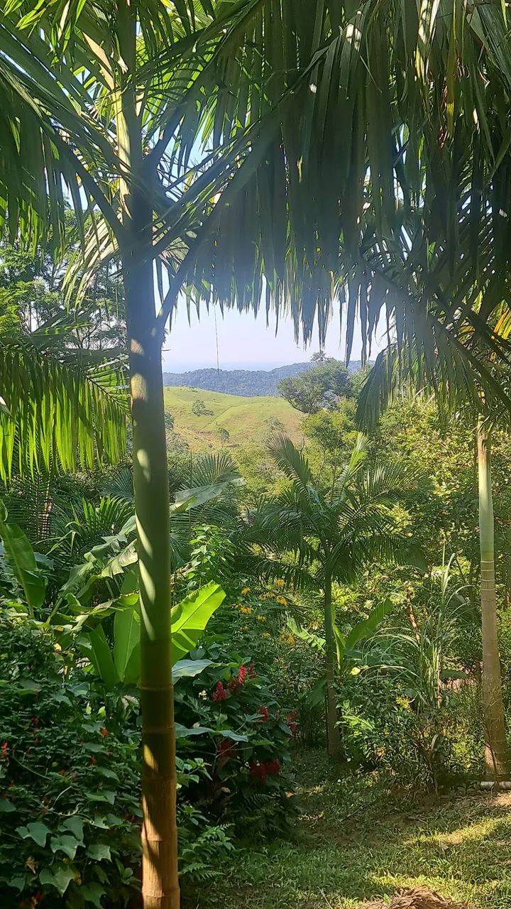 VENDO OU TROCO SÍTIO - Foto 3