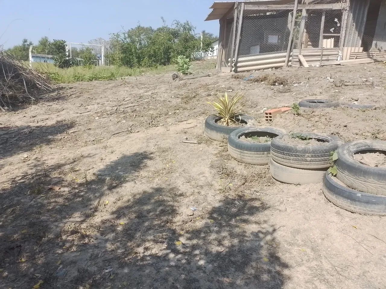 Chácara  - Foto 2