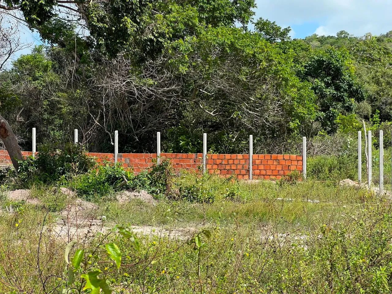 TERRENO EM SANTO AMARO