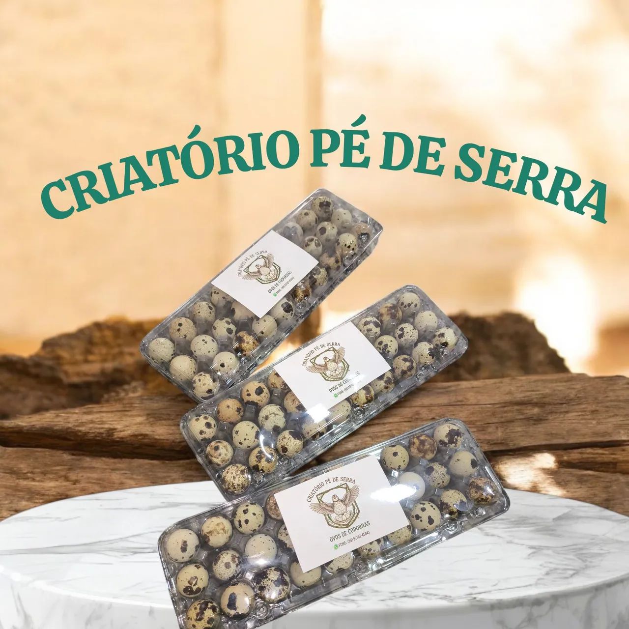 Ovos de codornas frescos direto do produtor  - Foto 3