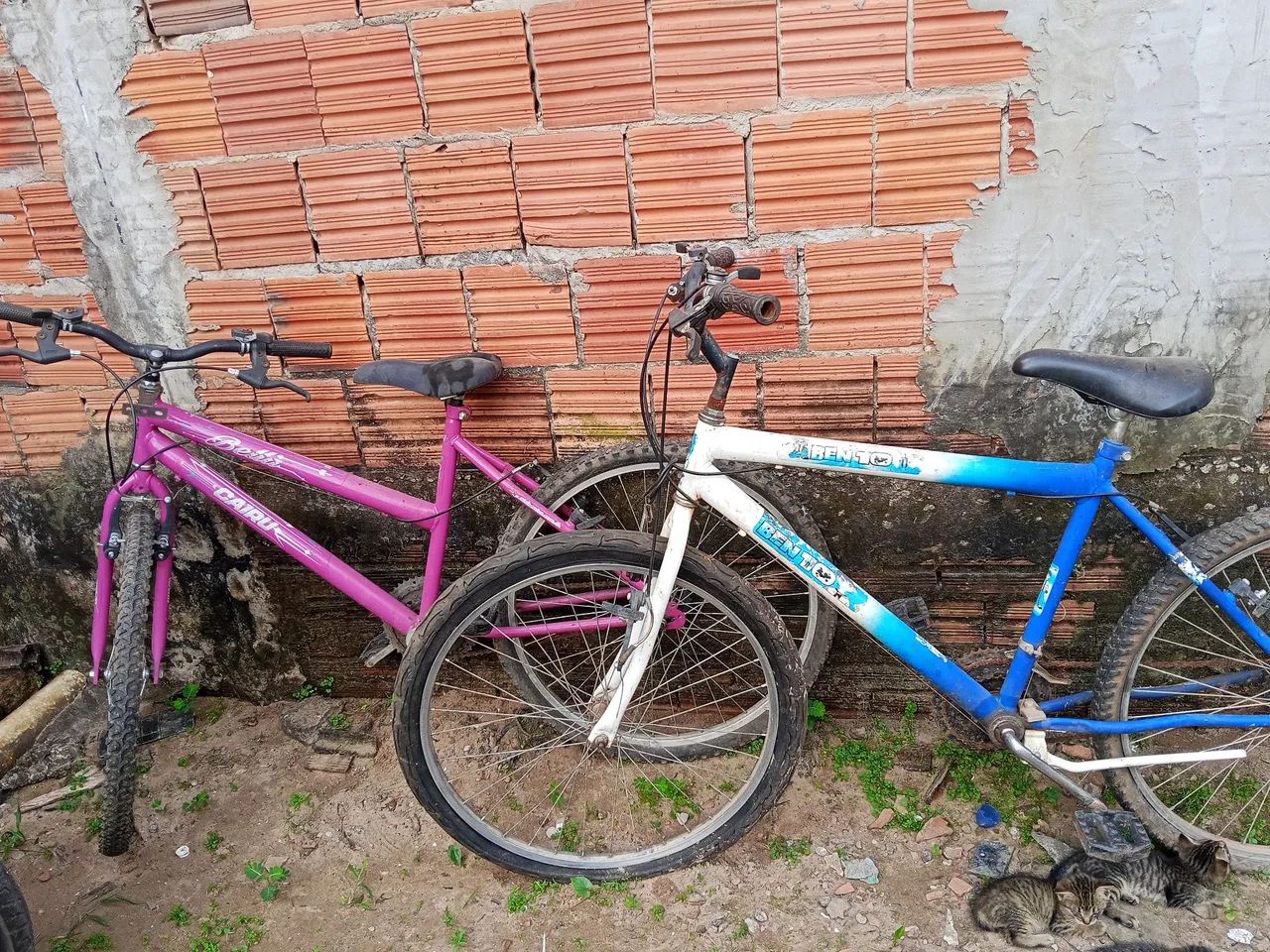 Bicicletas - Foto 3