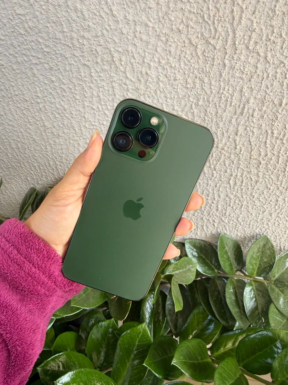 iPhone 13 Pro Max 258GB Verde Alpine - Foto 3