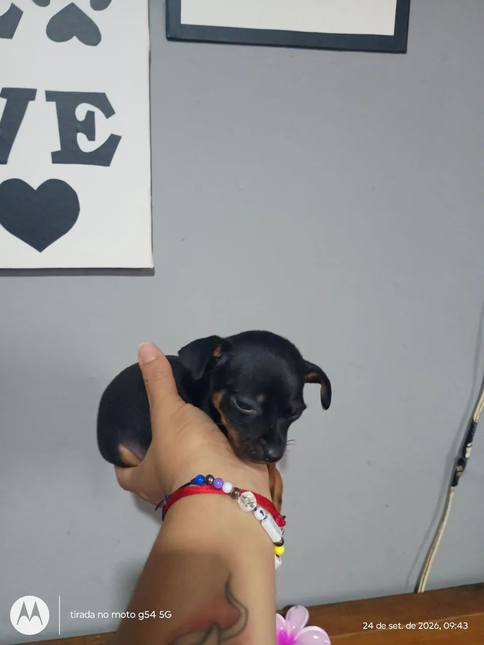 Machinho miniatura  - Foto 3