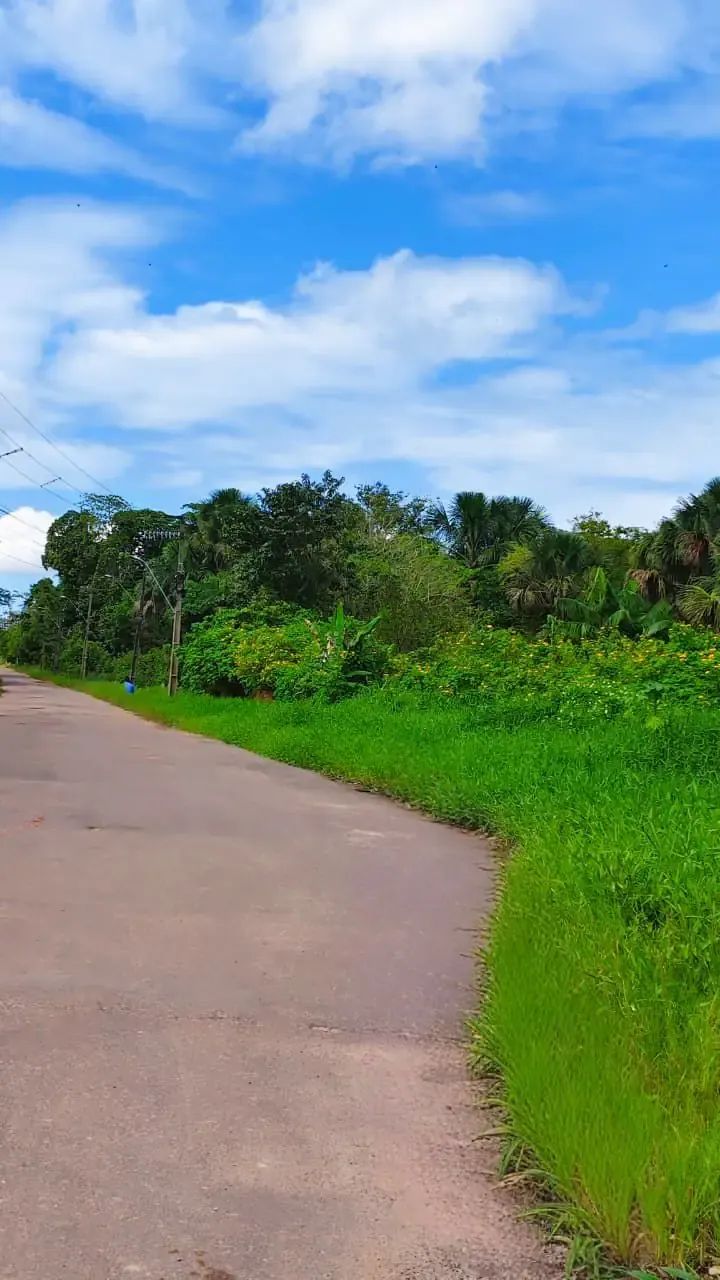 SÍTIO TERRENO EM MARITUBA RUA ALFREDO CALADO