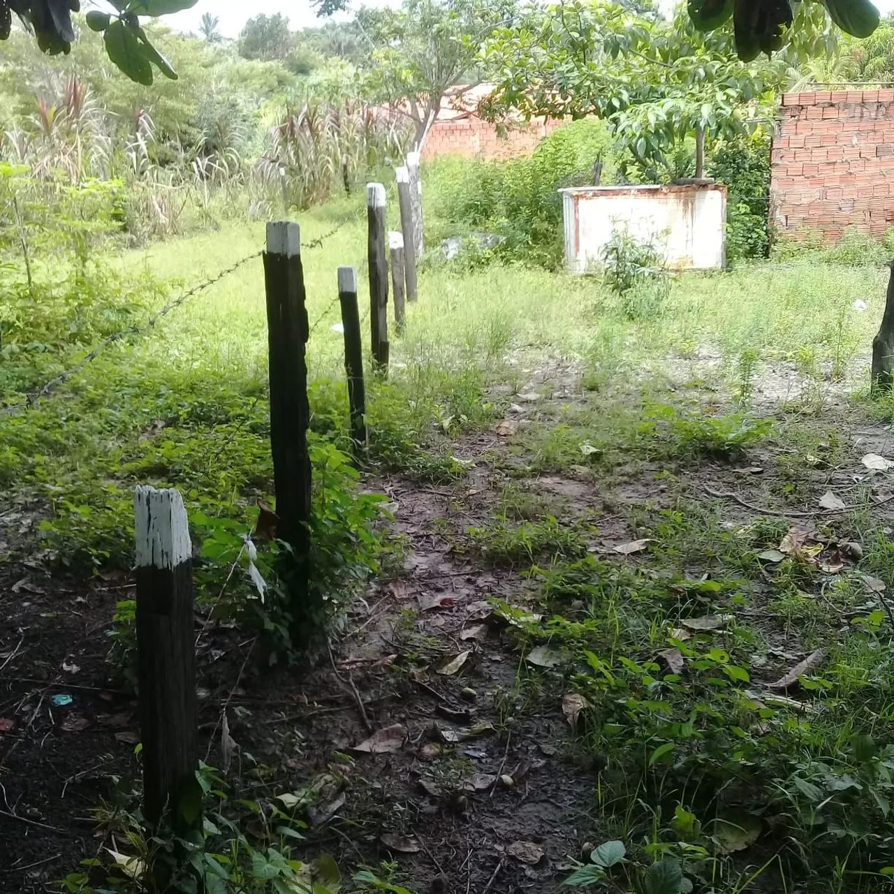 Chácara Encontro das Águas - Foto 4
