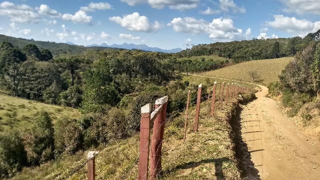 Fazenda para Gado - Foto 3