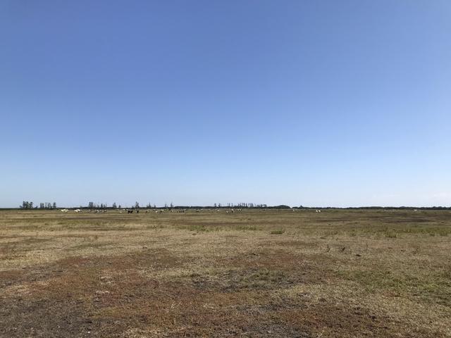 Ótima propriedade em Boa Vista com 55 alqueires - Foto 11