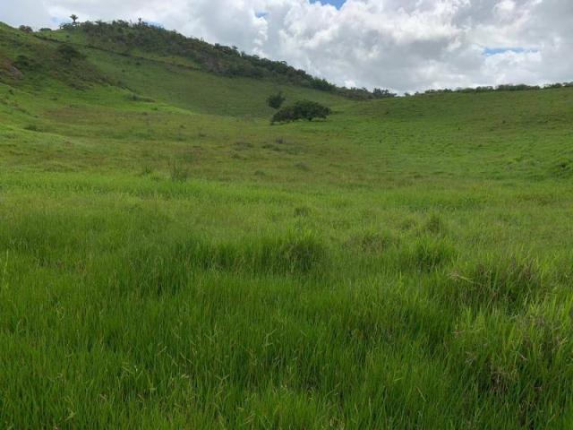 Fazenda para venda em passira, passira
