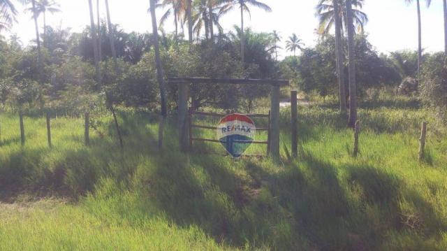 Terreno residencial à venda, praia de mogiquiçaba, belmonte. - Foto 15