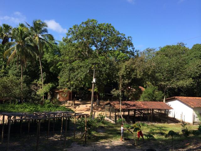 Axixá - Maranhão: Excelente Fazenda p/ Vender - Foto 12