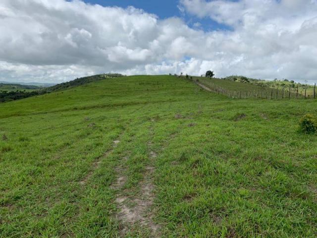 Fazenda para venda em passira, passira - Foto 10