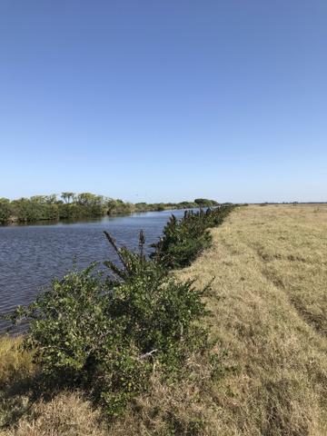 Ótima propriedade em Boa Vista com 55 alqueires - Foto 7
