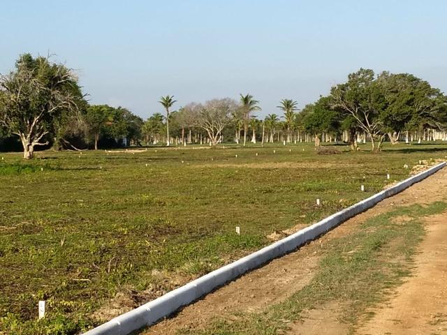 Ll Terrenos Próximo ao Trevo de Búzios - Foto 6