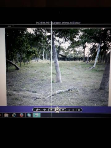 Vendo fazenda em Nossa Senhora do Livramento MT - Foto 9