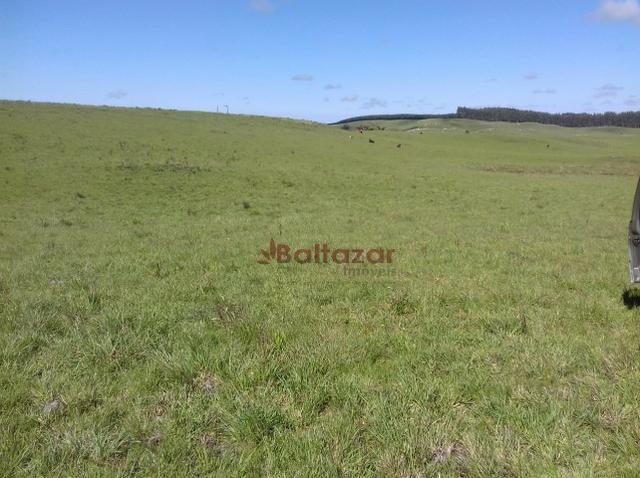 Vendo este excelente e magnífico campo, um verdadeiro paraíso, com a área de 150 hectares - Foto 11