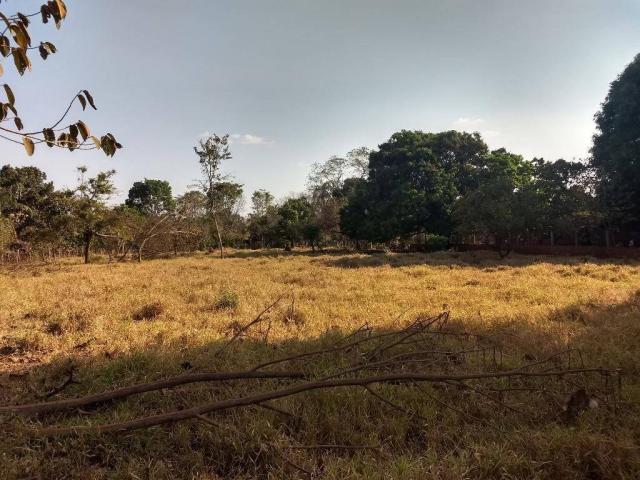 Chácara à venda, 4000 m² por r$ 230.000 - san diego - goianira/go - Foto 2