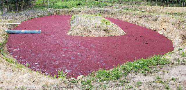 Terreno - Sitio - Chácara - Foto 7