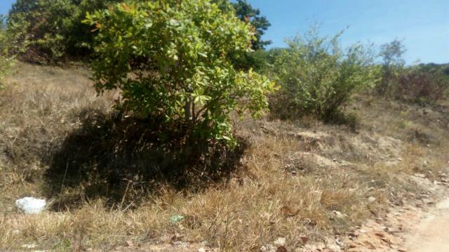 Lotes para vender ou trocar - Foto 10