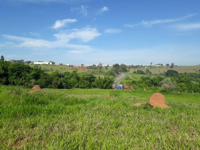 Área 20.000 m2 ao lado da walita em frente à rodovia BR 491 - Foto 8